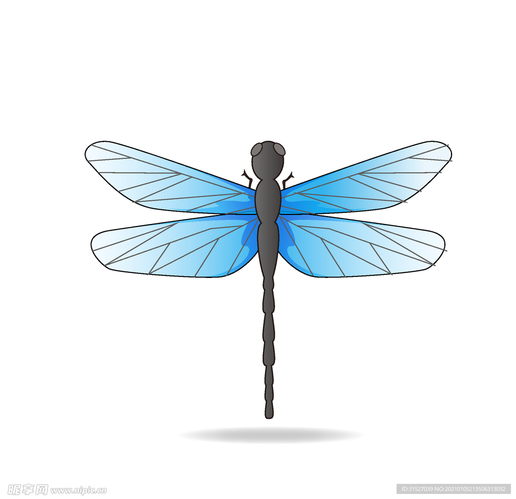 蓝色蜻蜓昆虫图片插画