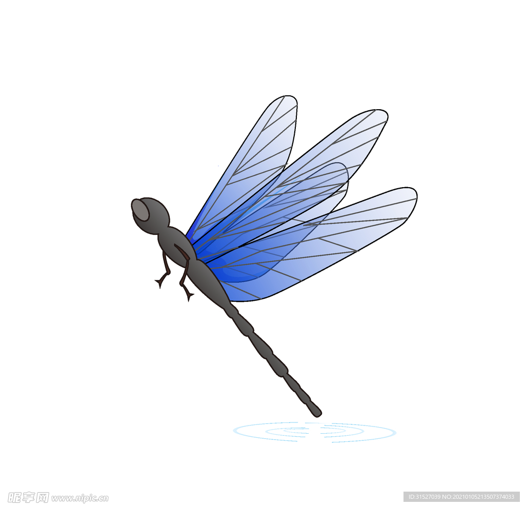 蜻蜓昆虫图片插画