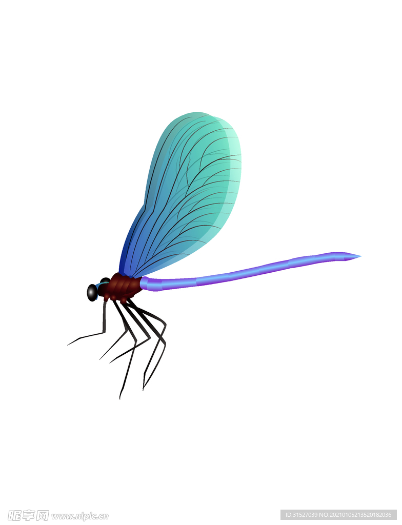 美丽的蜻蜓插画