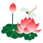 美丽的荷花与蜻蜓插画