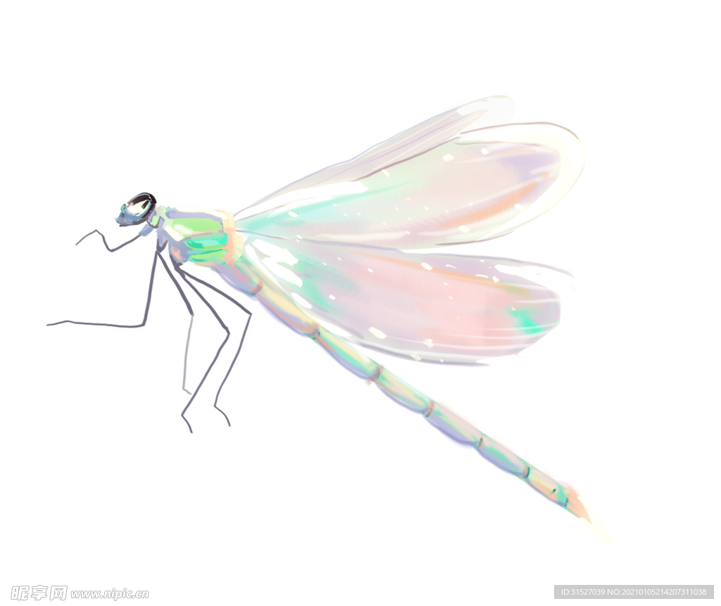 夏日昆虫蜻蜓插画