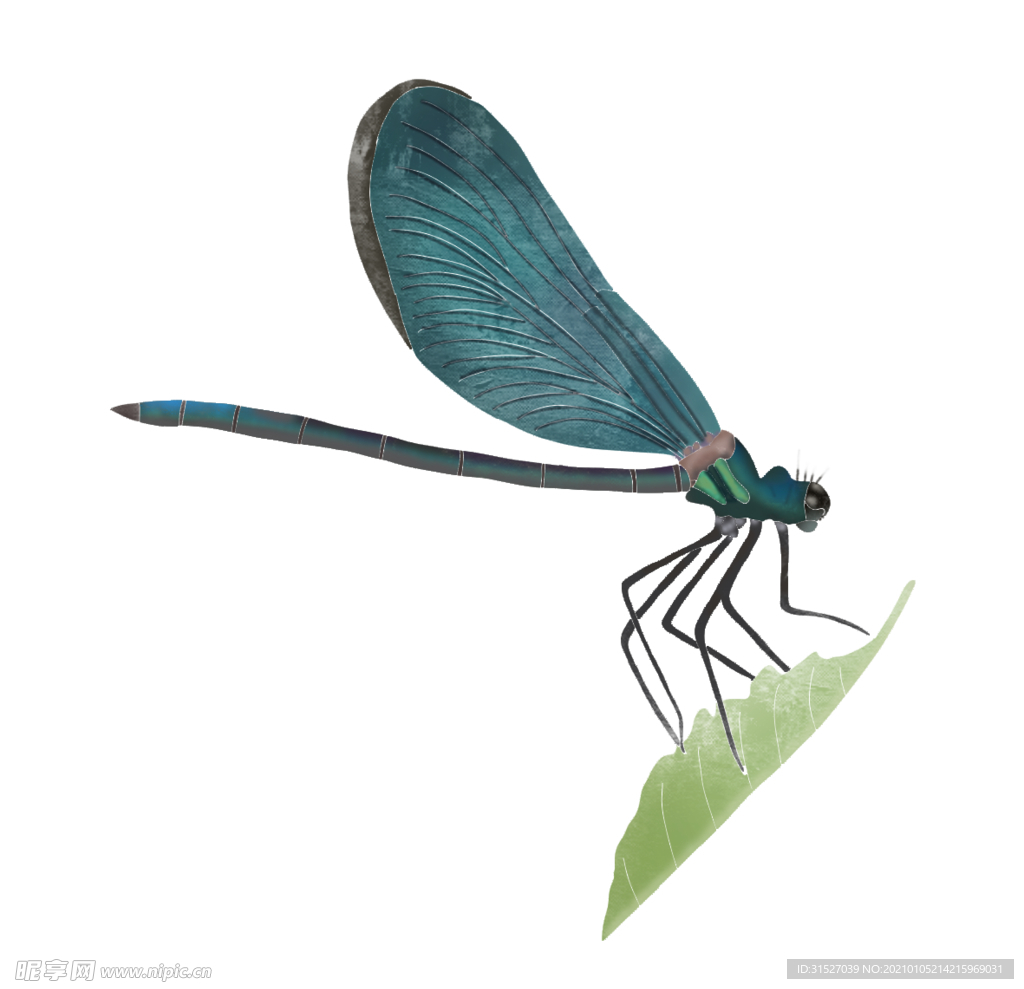 创意卡通手绘昆虫虫子蜻蜓元素