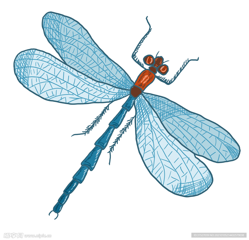 卡通蓝色小蜻蜓插画