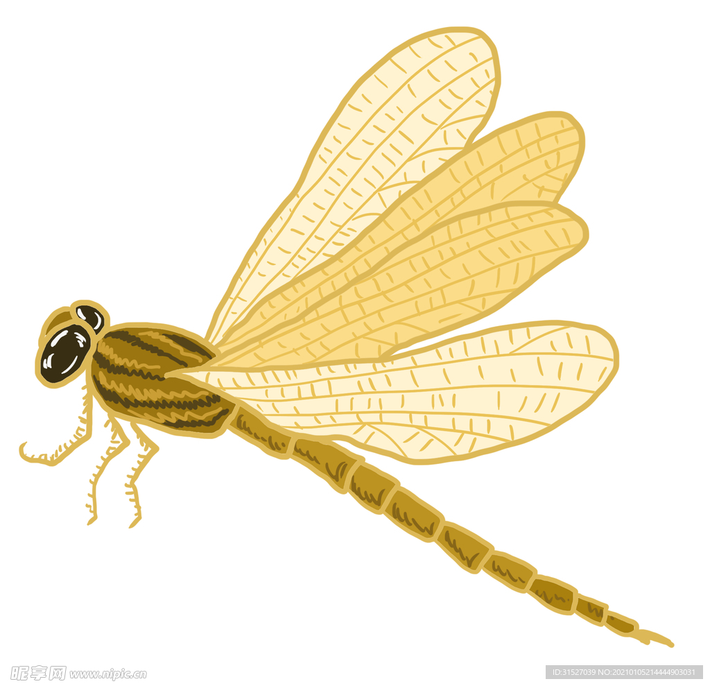 夏日昆虫黄色蜻蜓插画