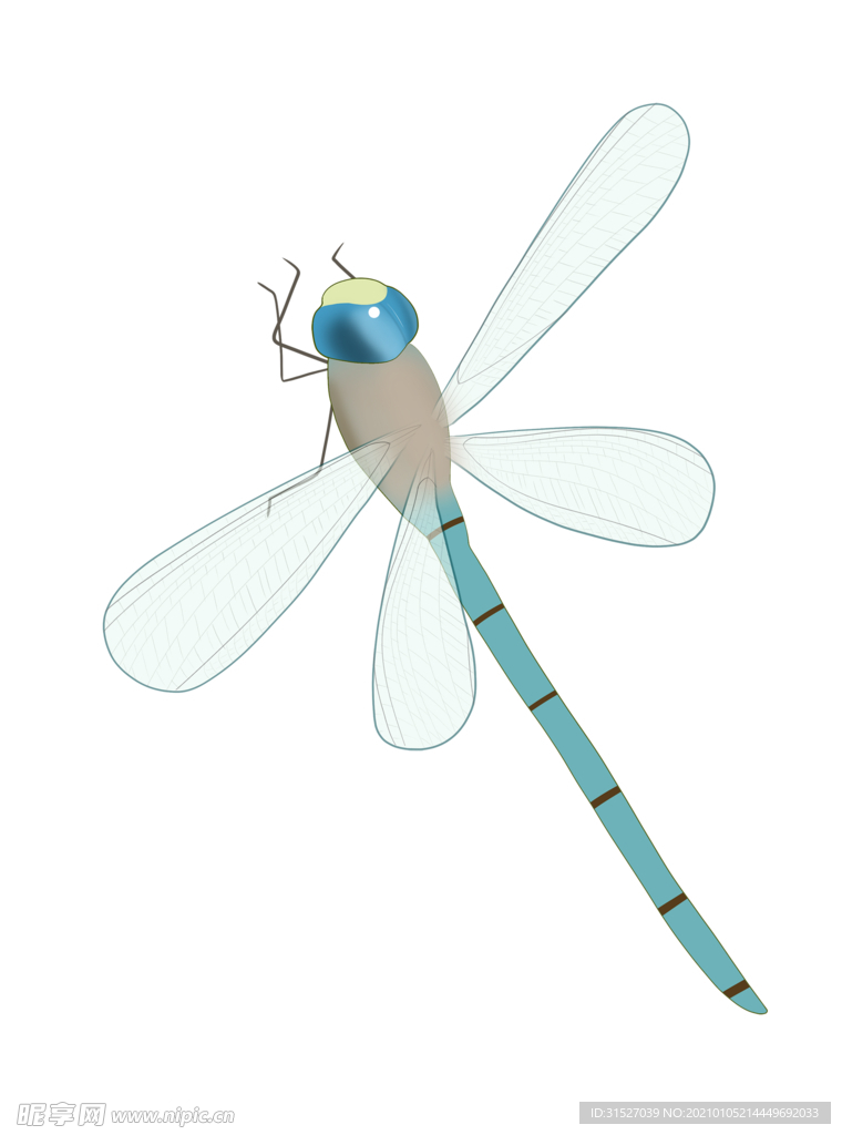 可爱的蜻蜓插画