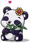 熊猫 上拾