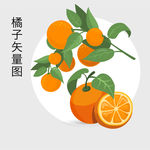 橘子 橙子 手绘矢量素材