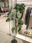 花卉