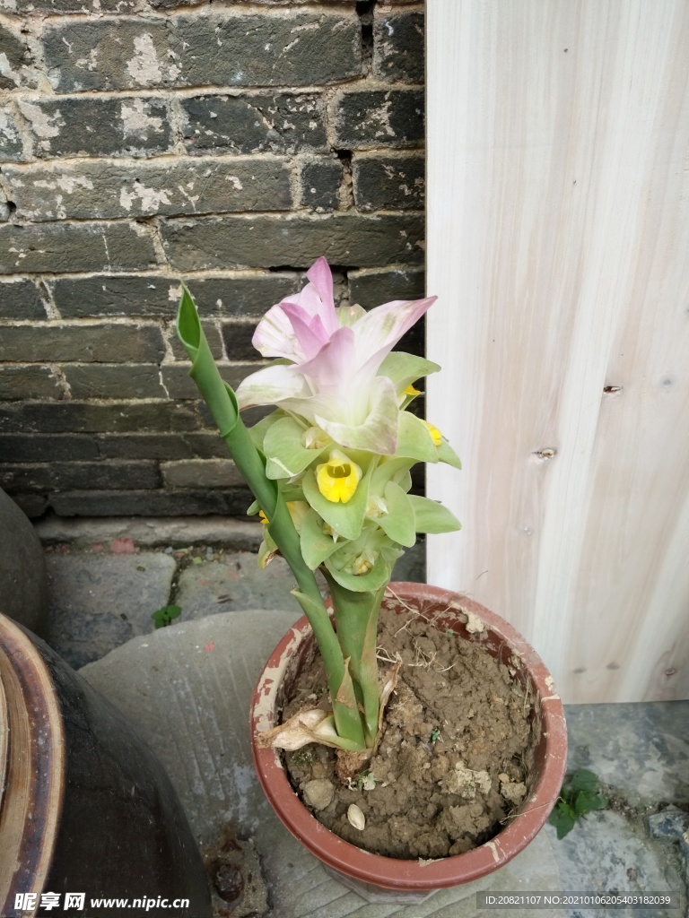 花