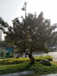 权