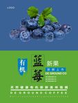 蓝莓海报