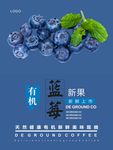 蓝莓海报