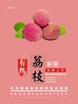荔枝海报
