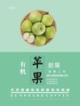青苹果海报