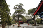 孔府