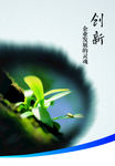 公司文化