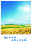 公司文化