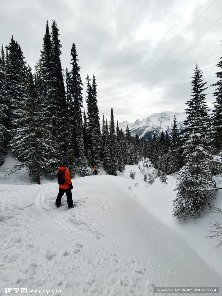 雪景