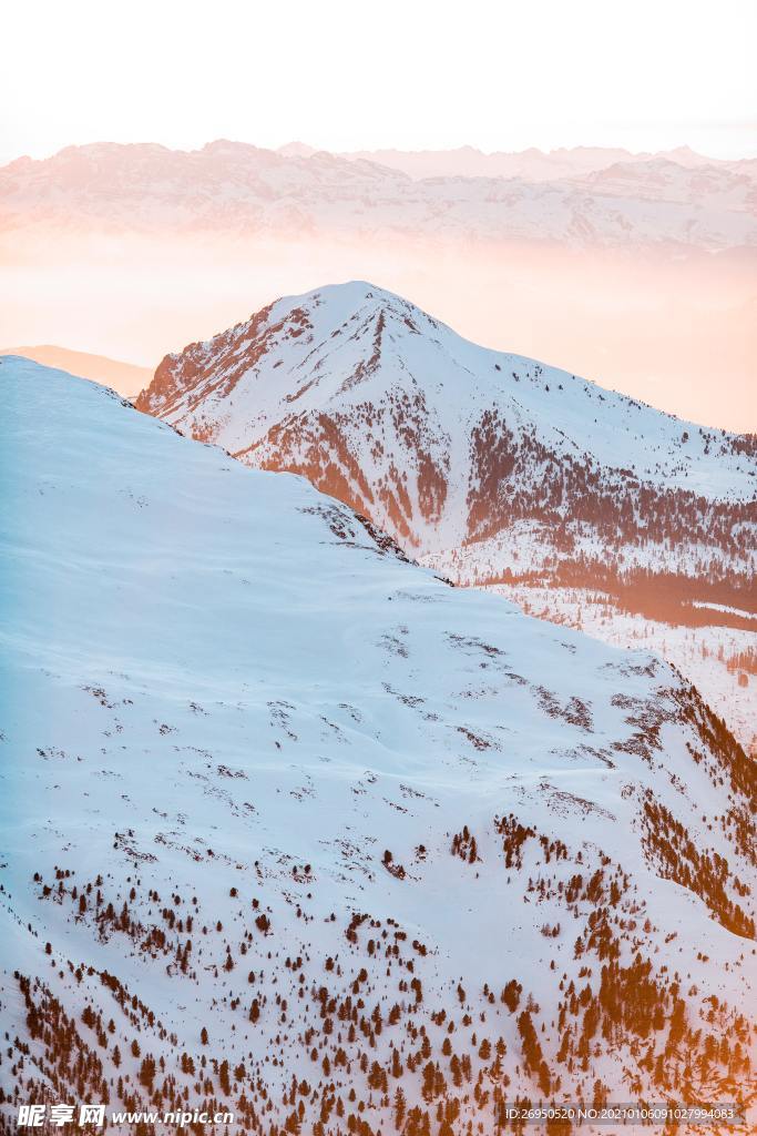 雪景