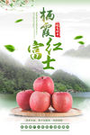 苹果