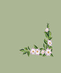 长裙花