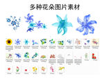 多种花朵图片素材