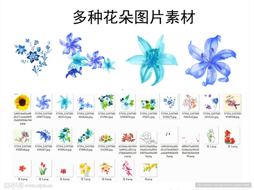 多种花朵图片素材