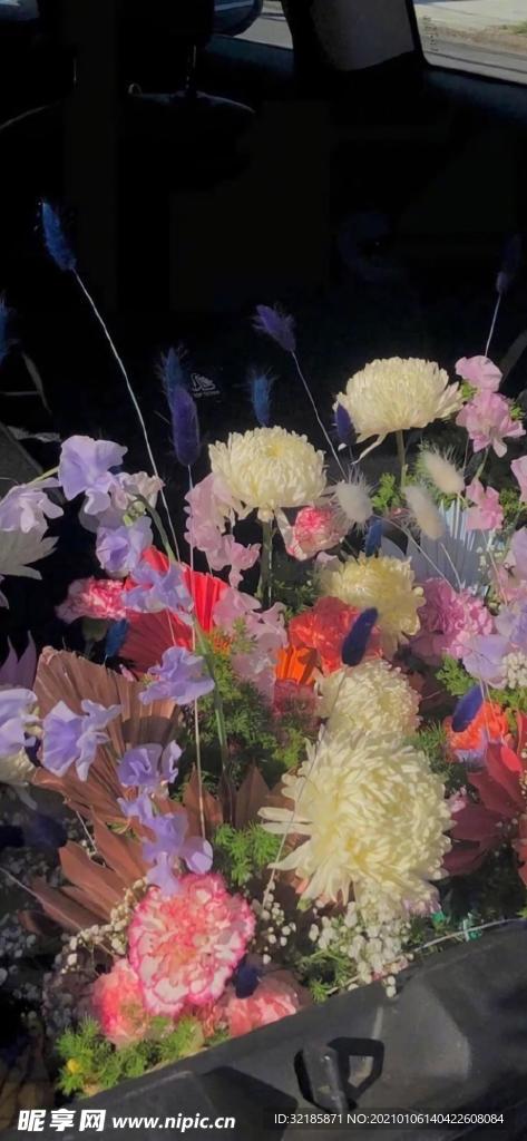 植物花朵   图片