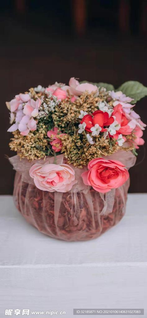 植物花朵   图片