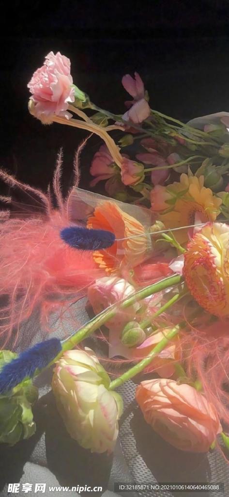 植物花朵   图片