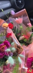 植物花朵   图片   花