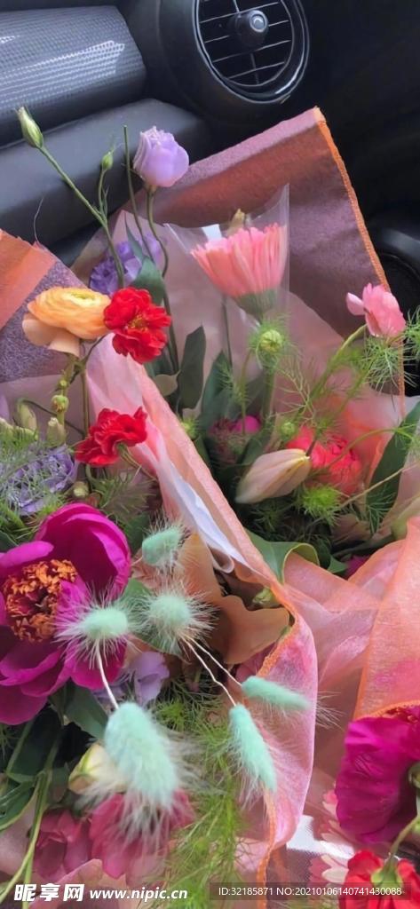 植物花朵   图片   花