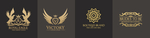 logo标志