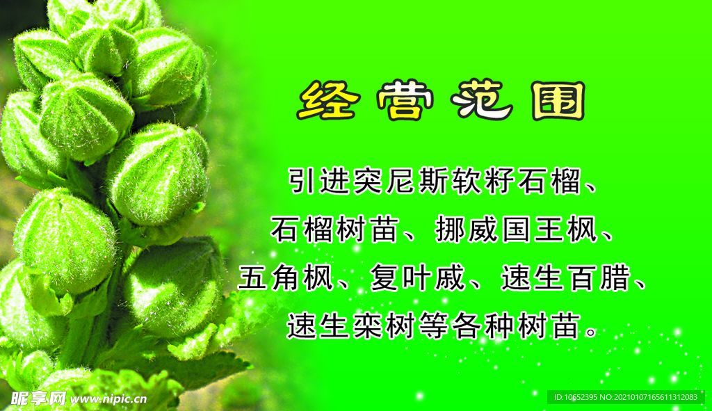 花卉名片