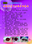 产后修复排瘀疗法