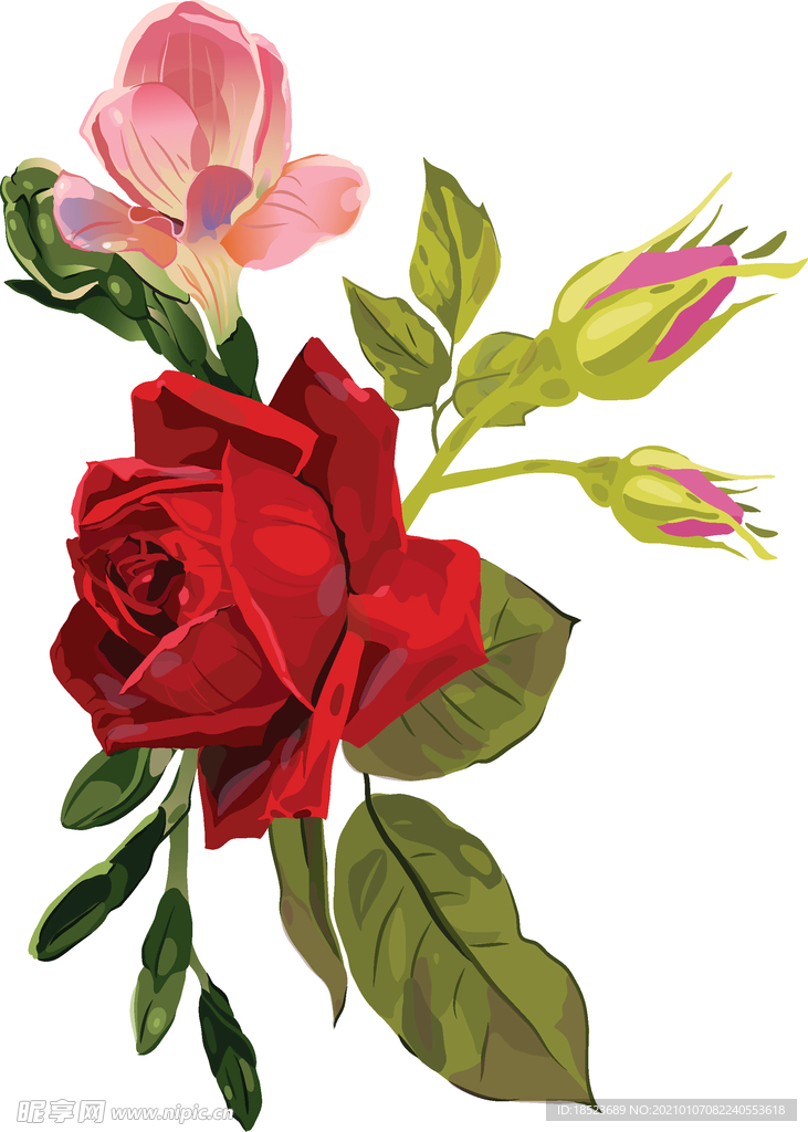 花卉