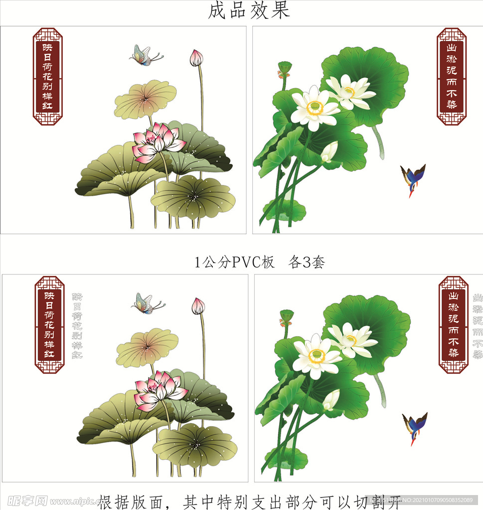 荷花