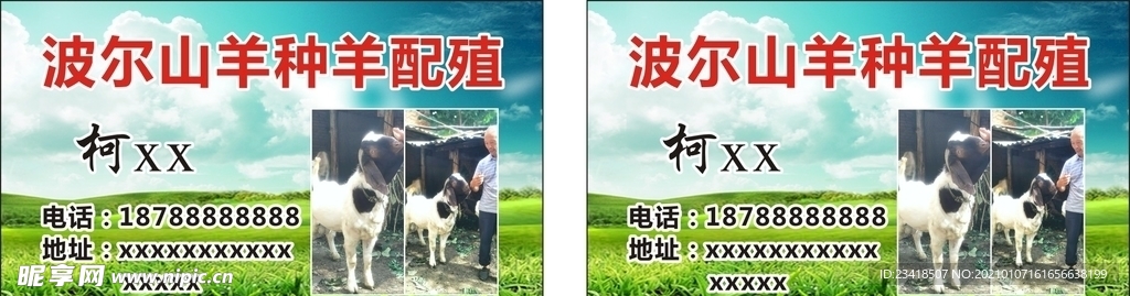 牛羊名片