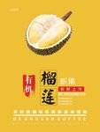 榴莲海报