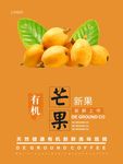 枇杷海报