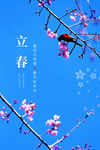 立春