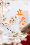 立春