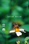 立春