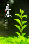 立春