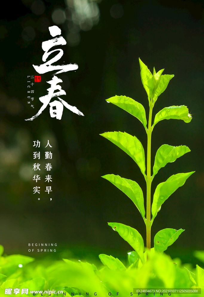 立春