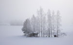 加拿大雪景