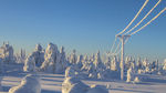 加拿大雪景