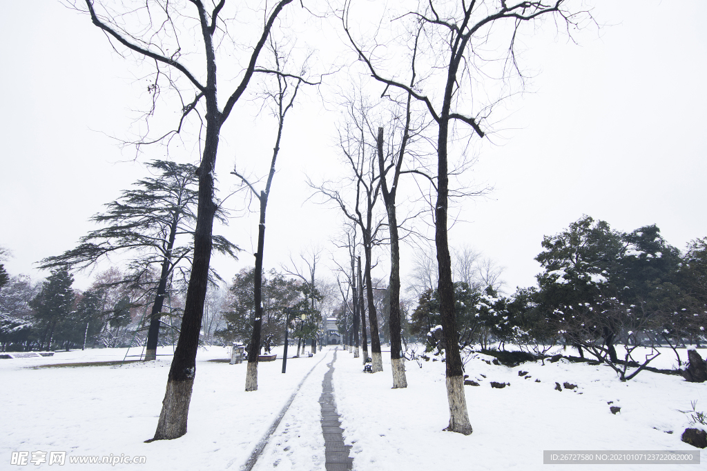 雪景图