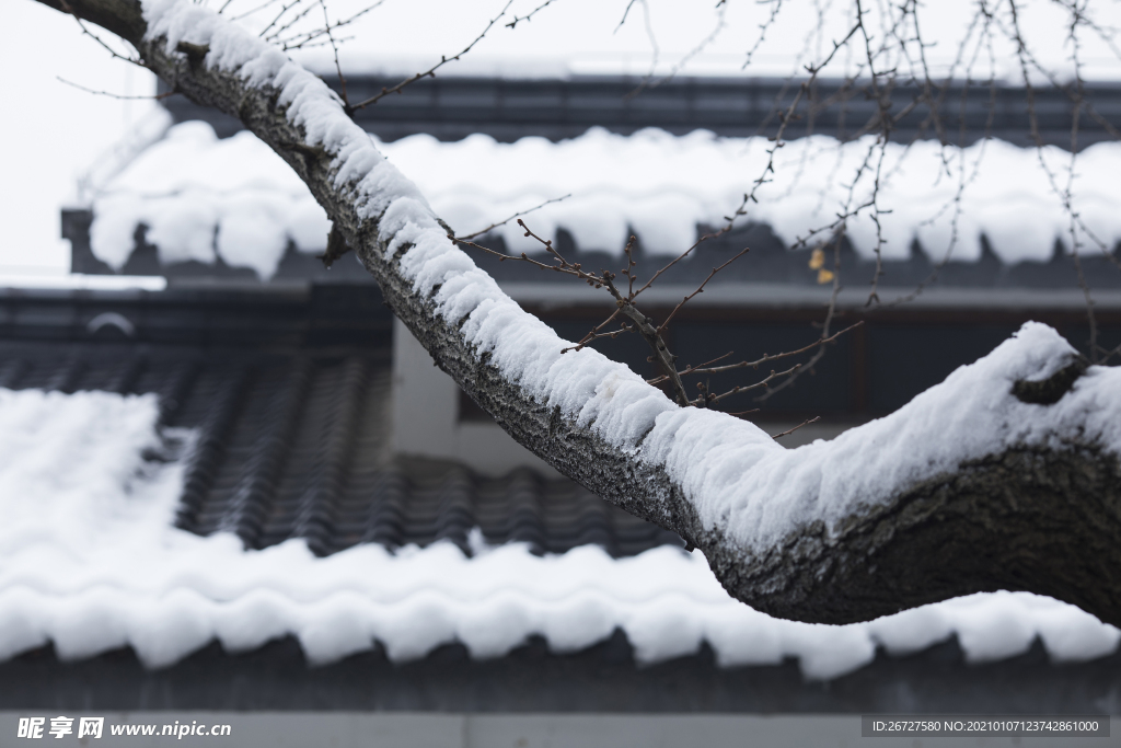 雪景图