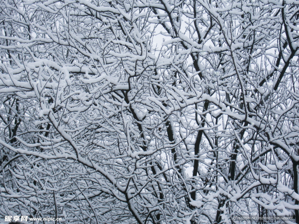 雪景图